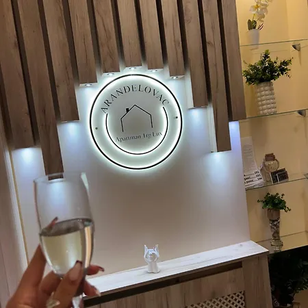 Trg Lux Appartamento Arandjelovac